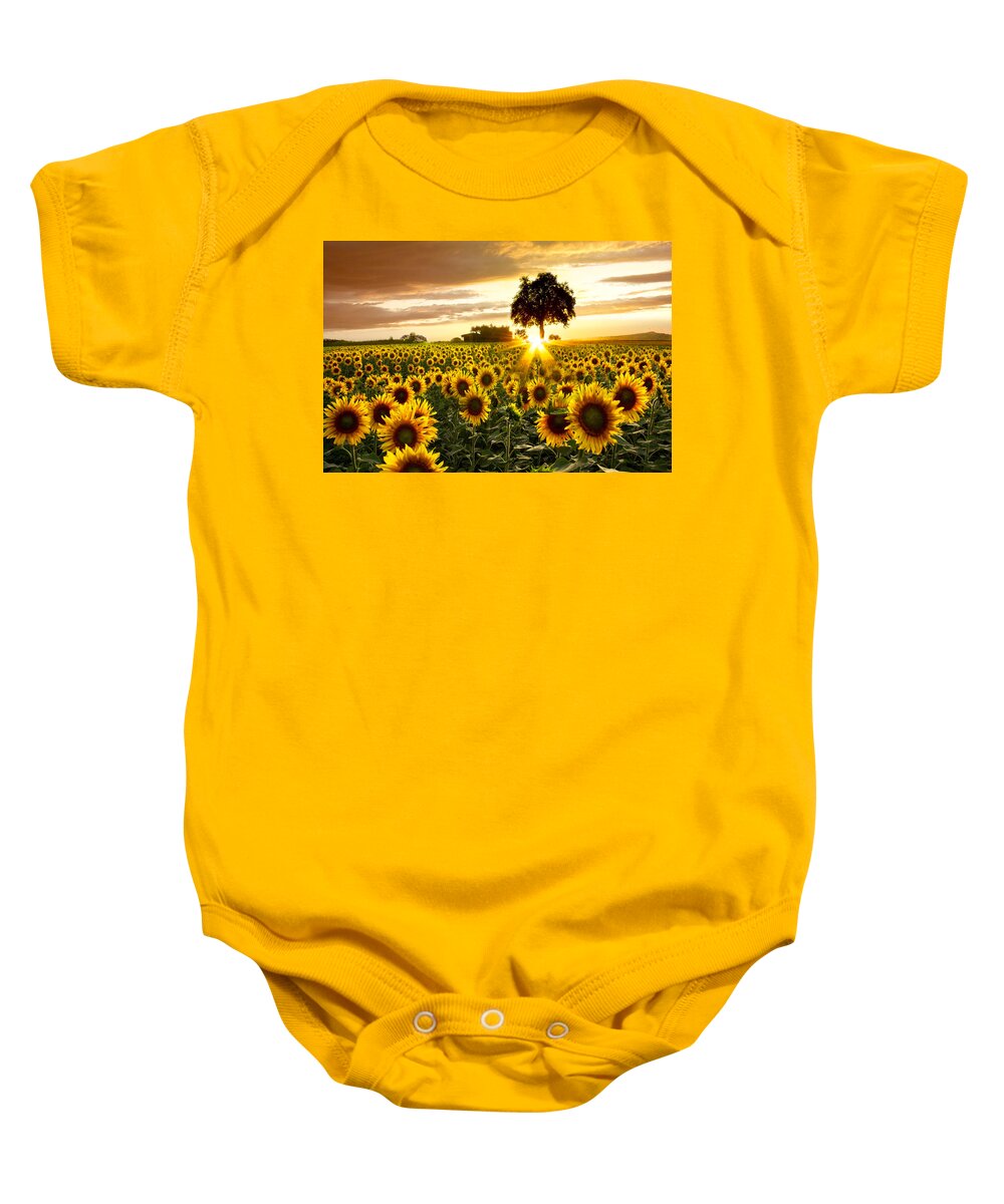 Appalachia Baby Onesie featuring the photograph Fields of Gold by Debra and Dave Vanderlaan