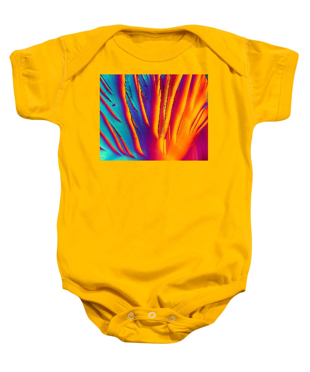 Crystals Baby Onesie featuring the photograph Flower Power by Hodges Jeffery
