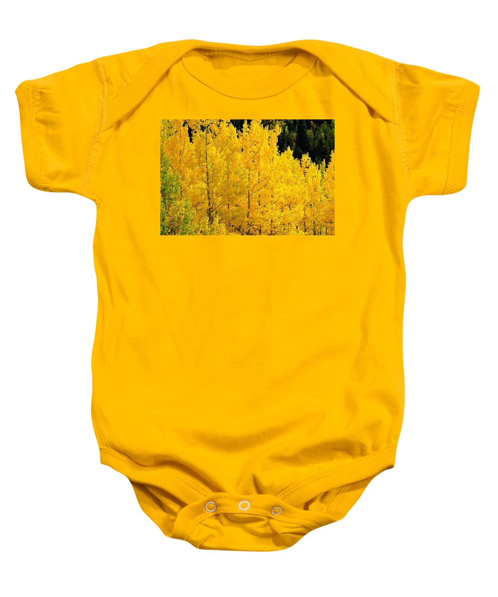 Colorado Baby Onesie featuring the photograph Golden Yellow Aspens by Marilyn Burton