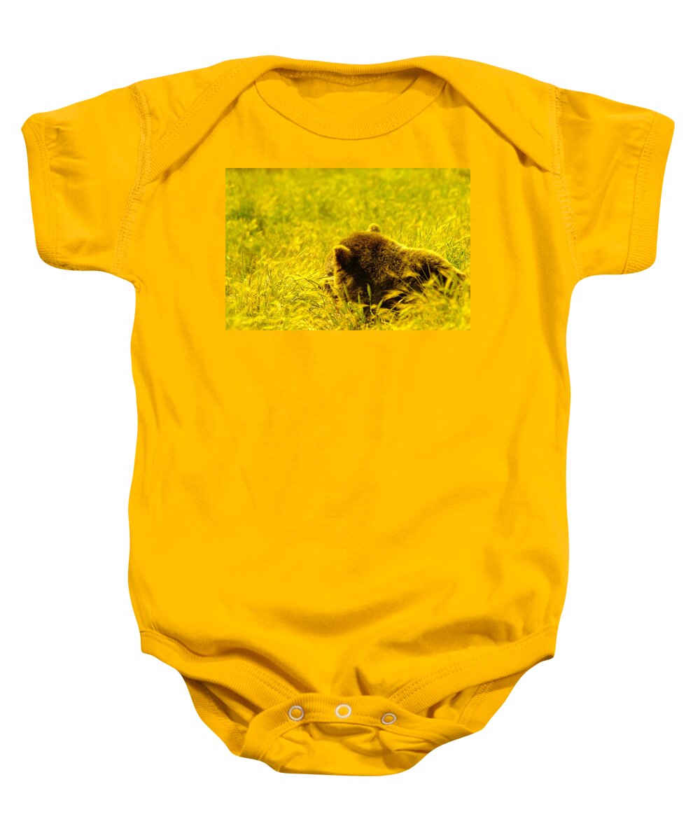 Grizzly Baby Onesie featuring the photograph Grizzily In The Meadow by Jeff Swan