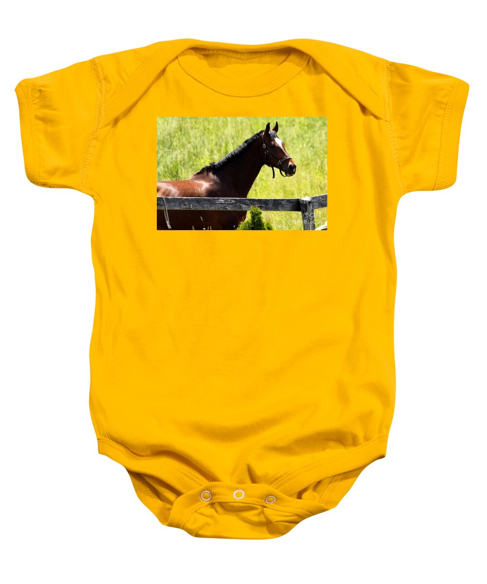 Horse Baby Onesie featuring the photograph Handsom Horse by Janice Byer