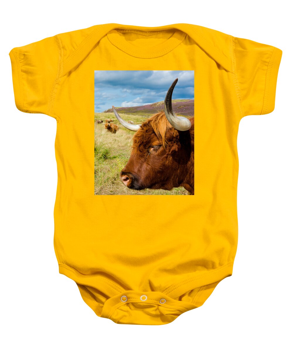 Cow Baby Onesie featuring the photograph Highland Cattle On Scottish Pasture by Andreas Berthold