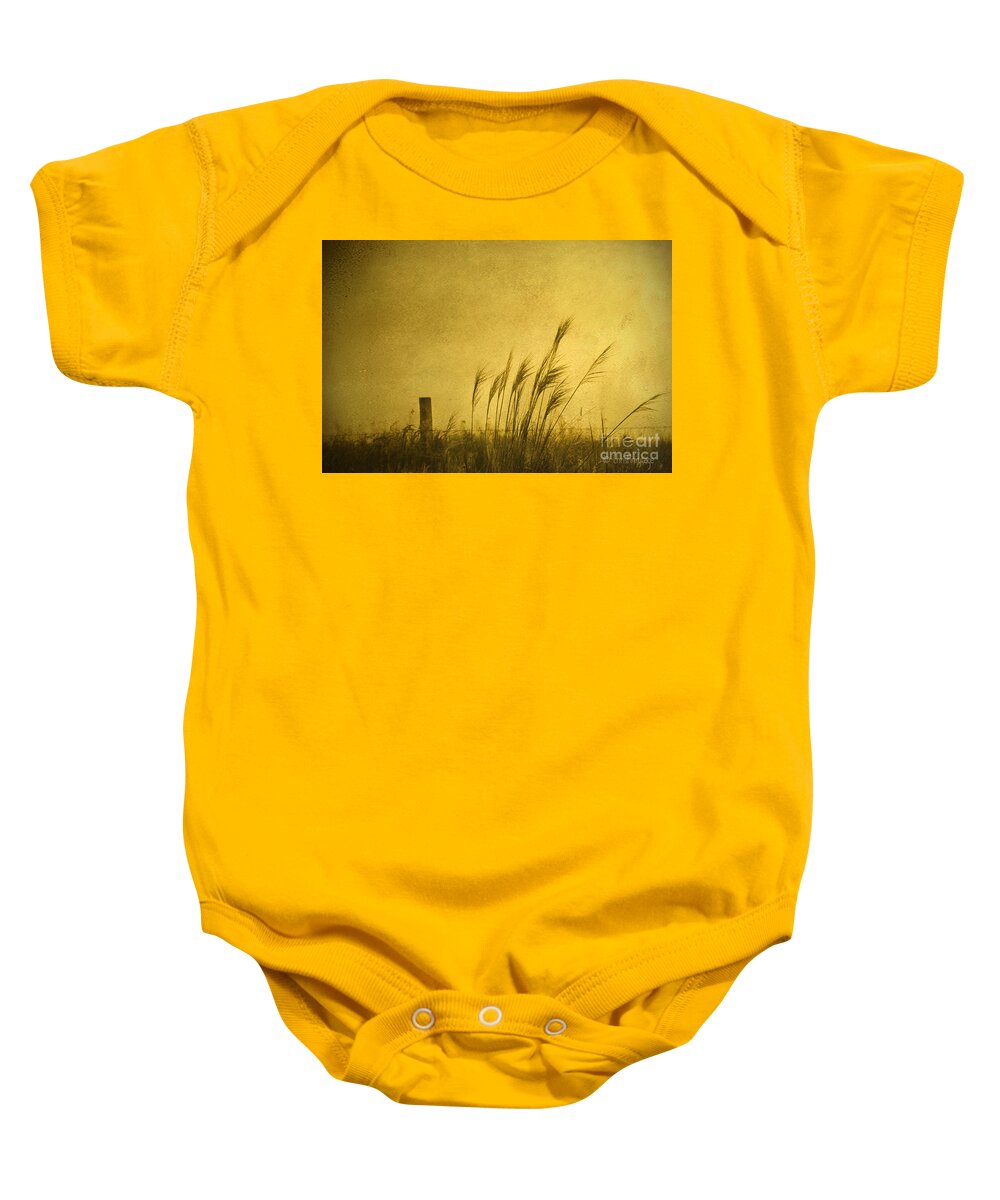 Photographic Art Baby Onesie featuring the photograph Land of Stillness by Chris Armytage