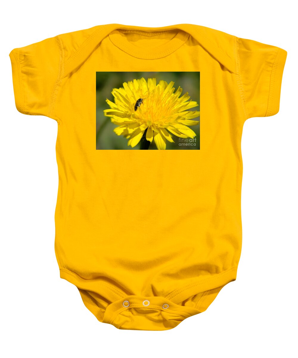 Dandelion Baby Onesie featuring the photograph Little visitor by Andrea Anderegg