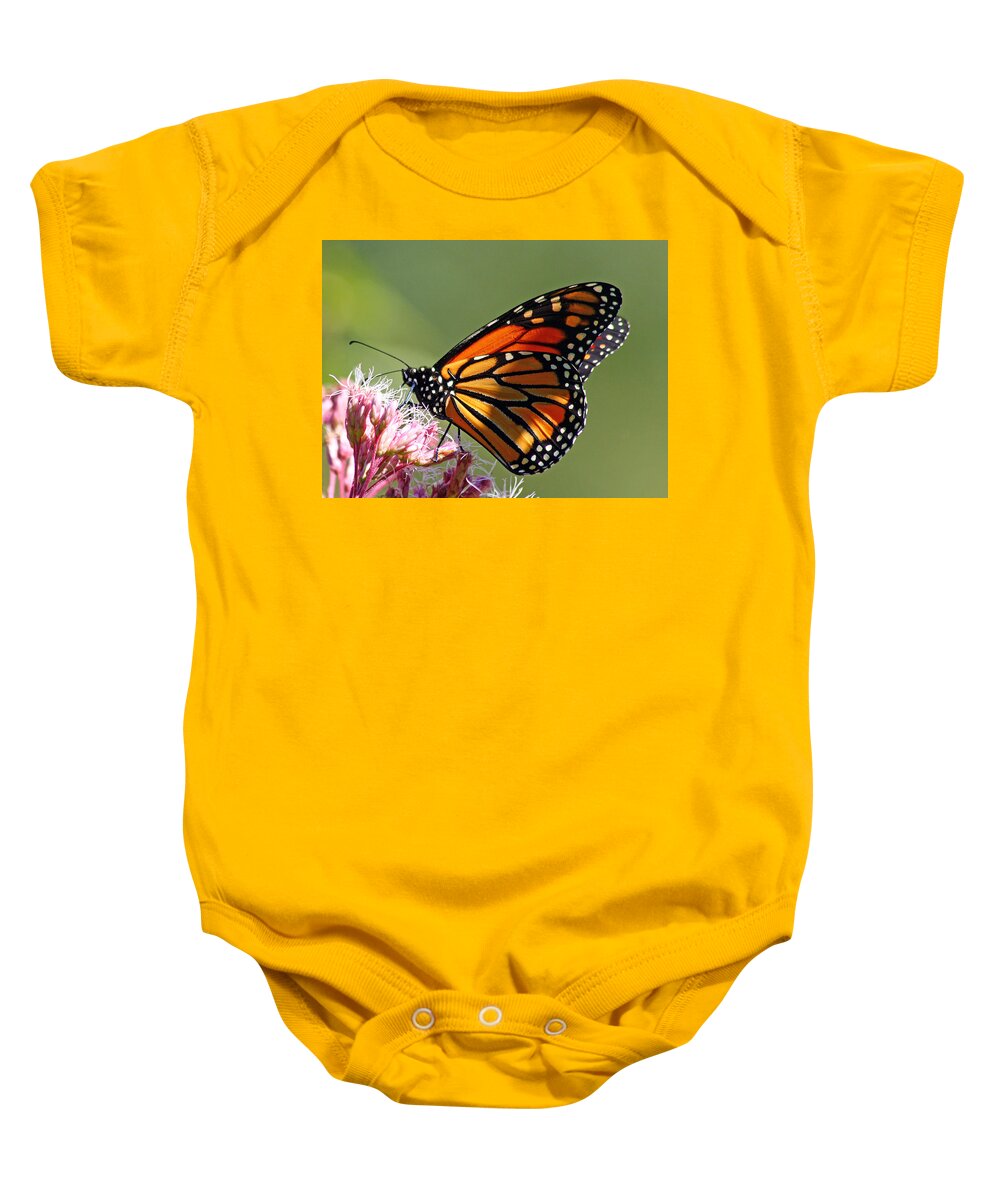Butterfly Baby Onesie featuring the photograph Nectaring Monarch Butterfly by Debbie Oppermann