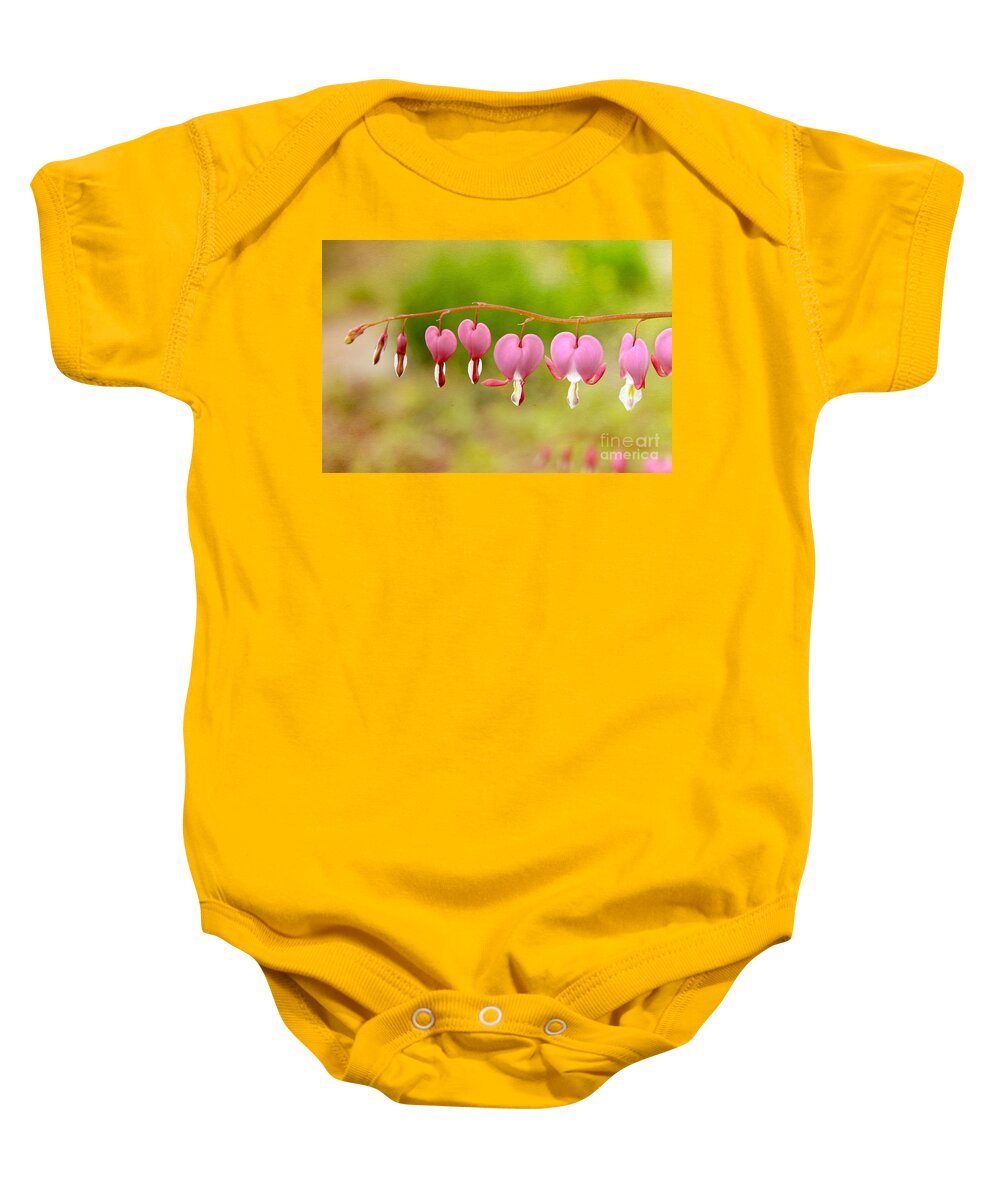 Maine Baby Onesie featuring the photograph Old-Fashioned Bleeding Hearts by Karin Pinkham