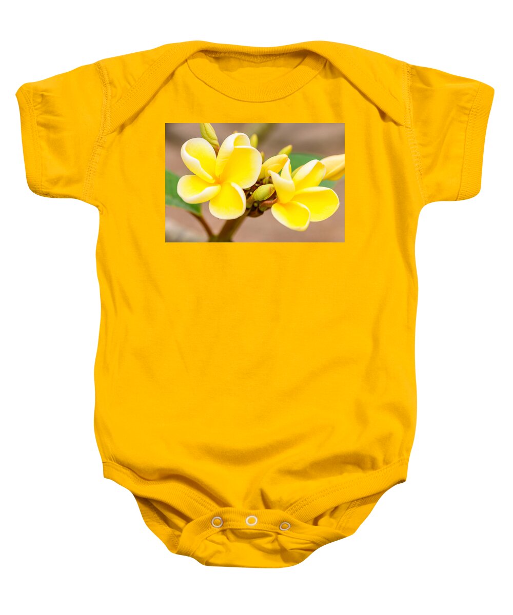 Flowers Baby Onesie featuring the photograph Plumerias of Paradise 14 by Jason Chu