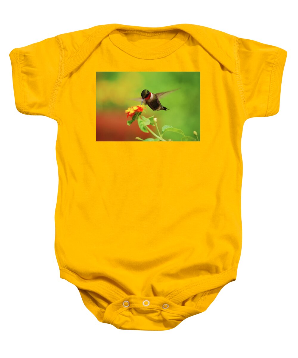 Hummingbird Baby Onesie featuring the photograph Pretty As A Picture by Lori Tambakis