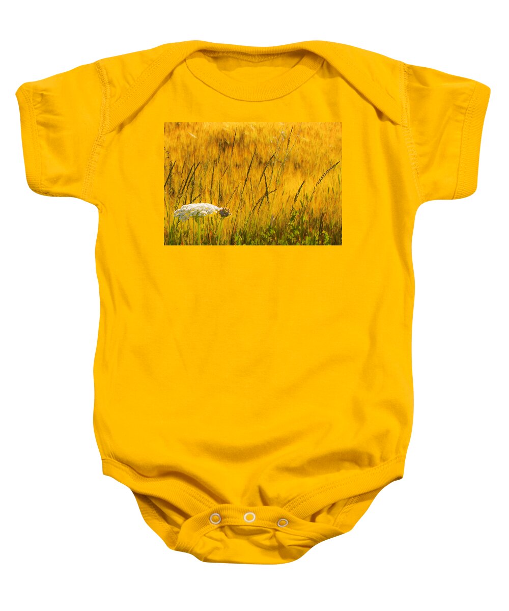 Field Baby Onesie featuring the photograph Queen Anne's Lace by Theresa Tahara