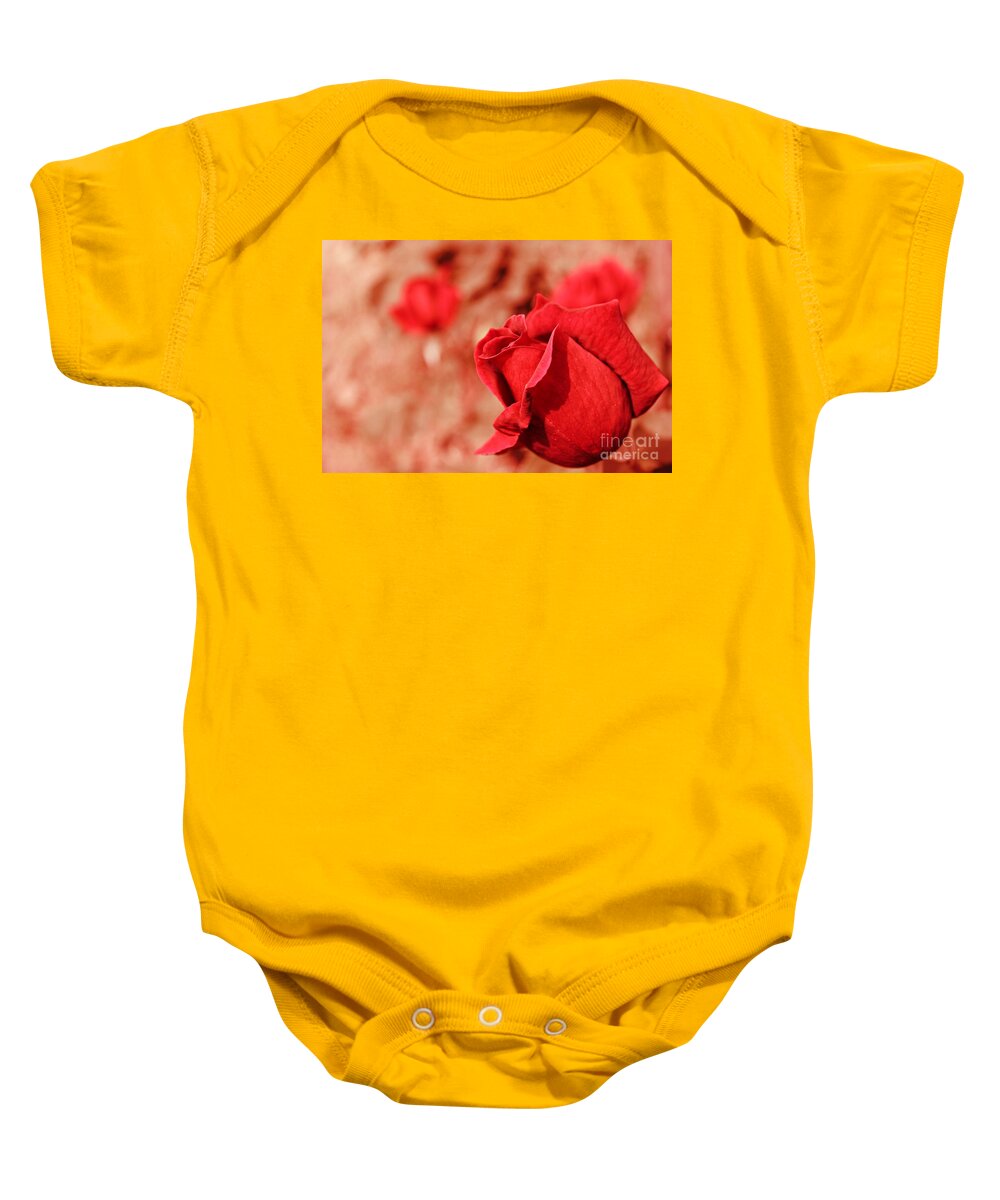 Roses Baby Onesie featuring the photograph Radiant Rose by Clare Bevan