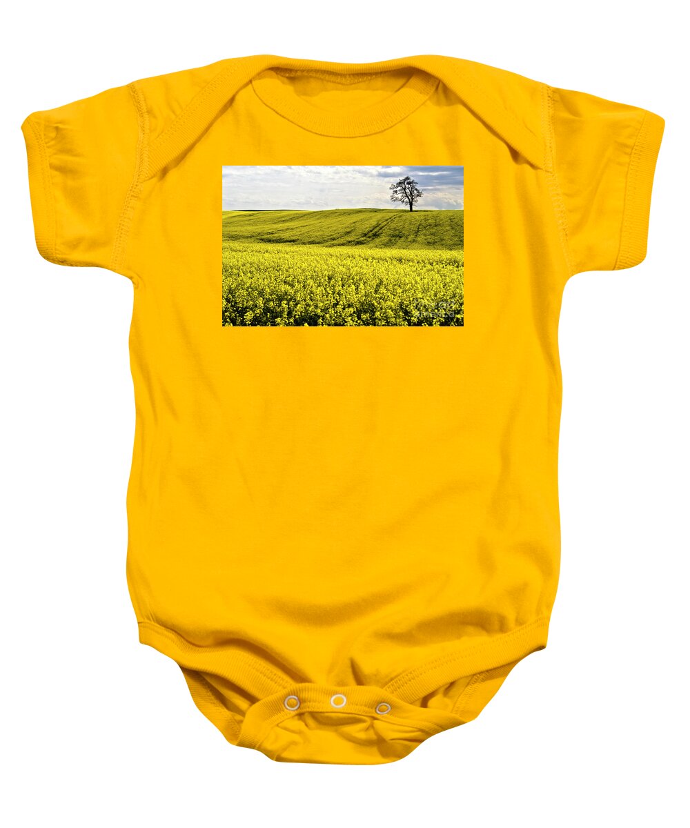 Heiko Baby Onesie featuring the photograph Rape landscape with lonely tree by Heiko Koehrer-Wagner