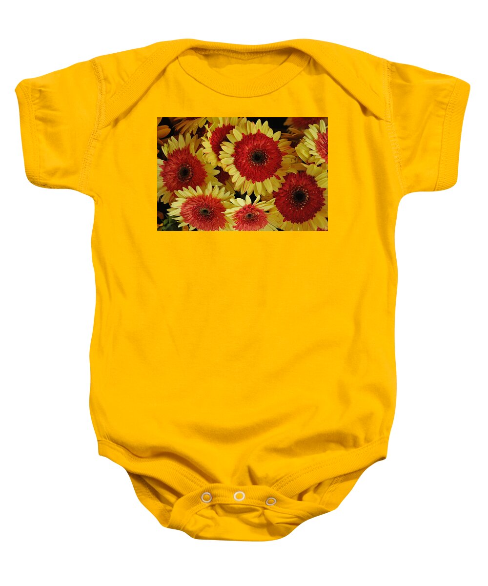 Photograph Baby Onesie featuring the photograph Raspberry Pineapple by Richard Gehlbach