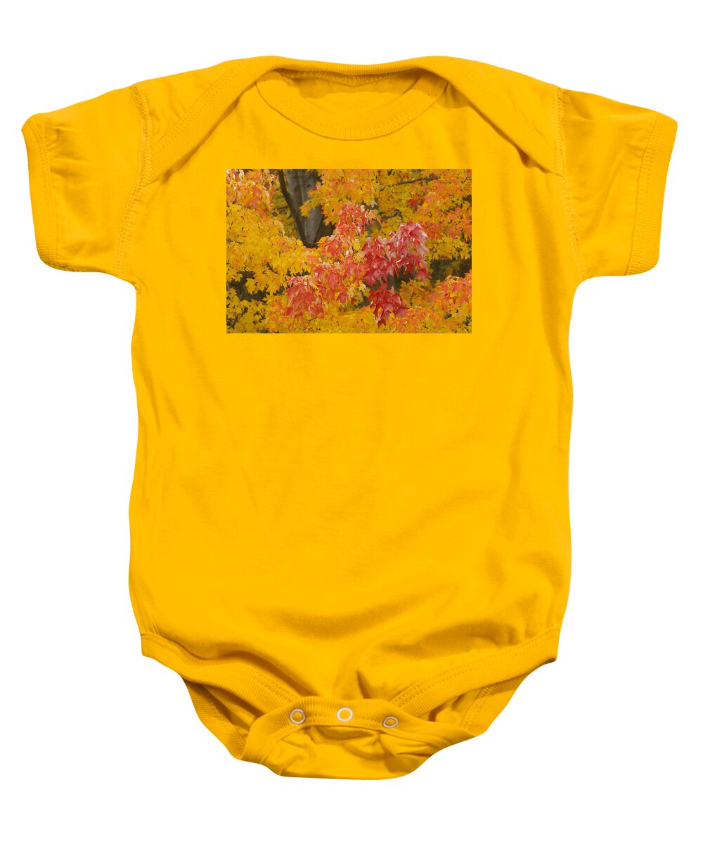 Red Baby Onesie featuring the photograph Red on Yellow by Paul W Faust - Impressions of Light