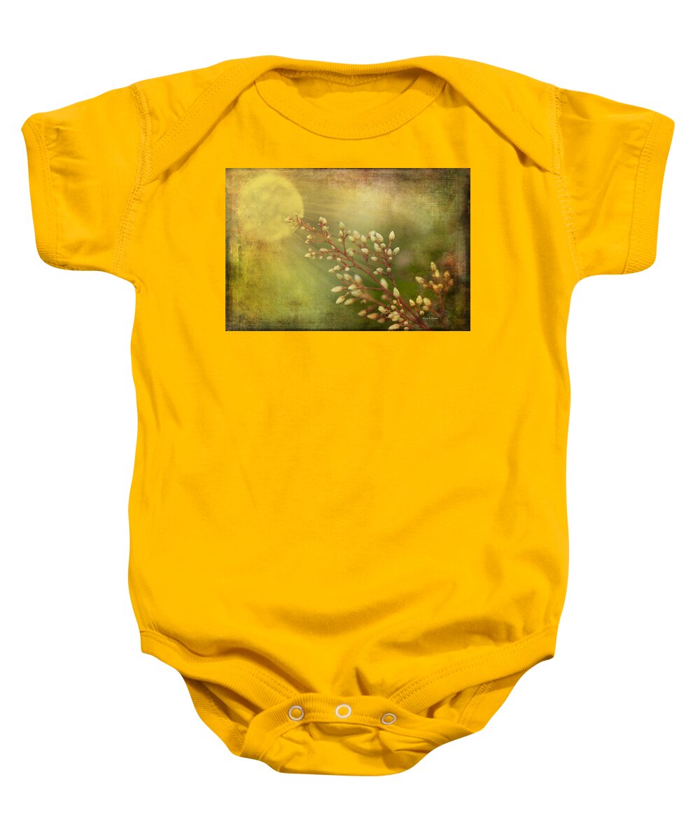 Sun Baby Onesie featuring the photograph Remember Spring and Summer by Angela Stanton