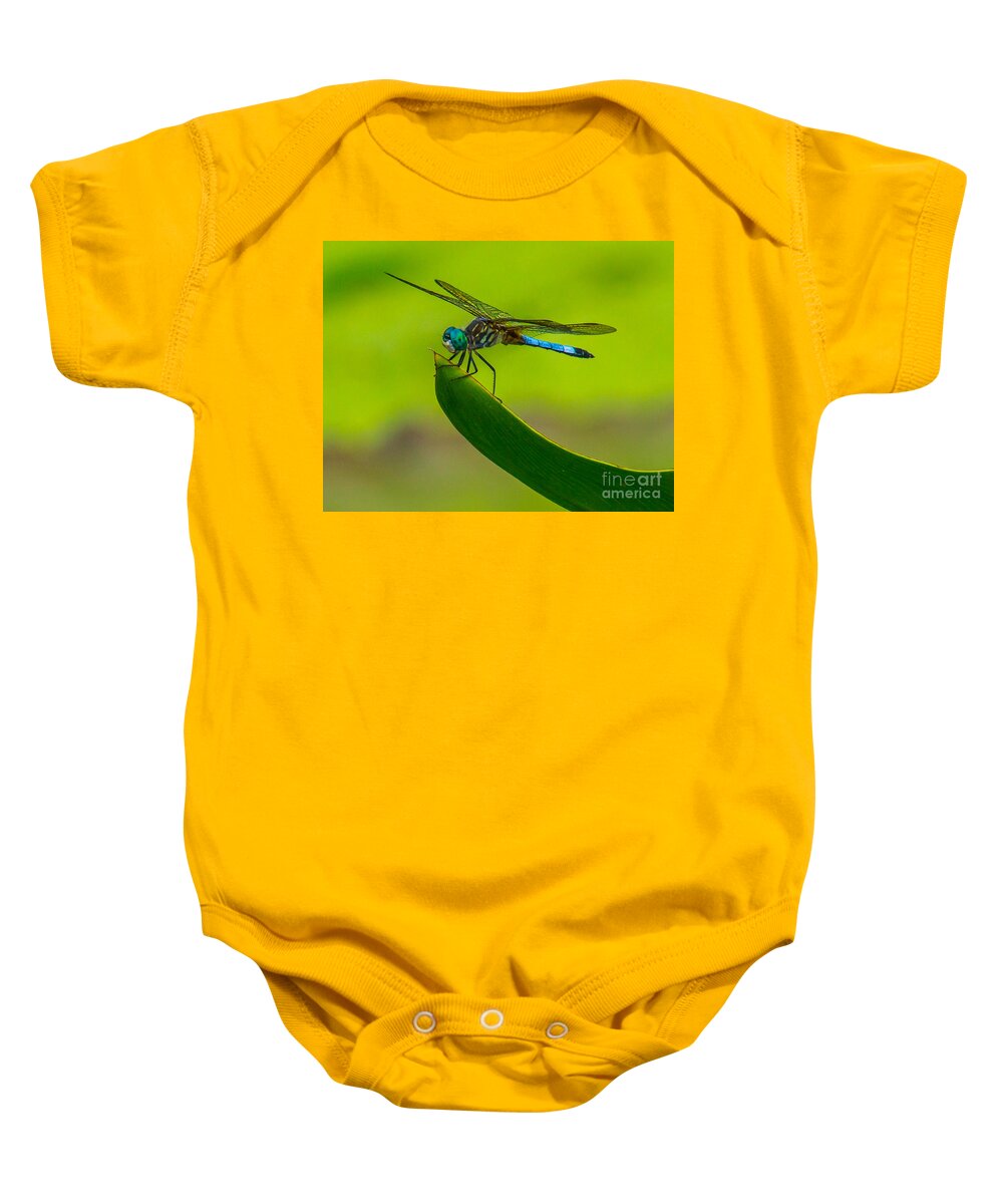 Animals Baby Onesie featuring the photograph Resting Dragonfly by Nick Zelinsky Jr
