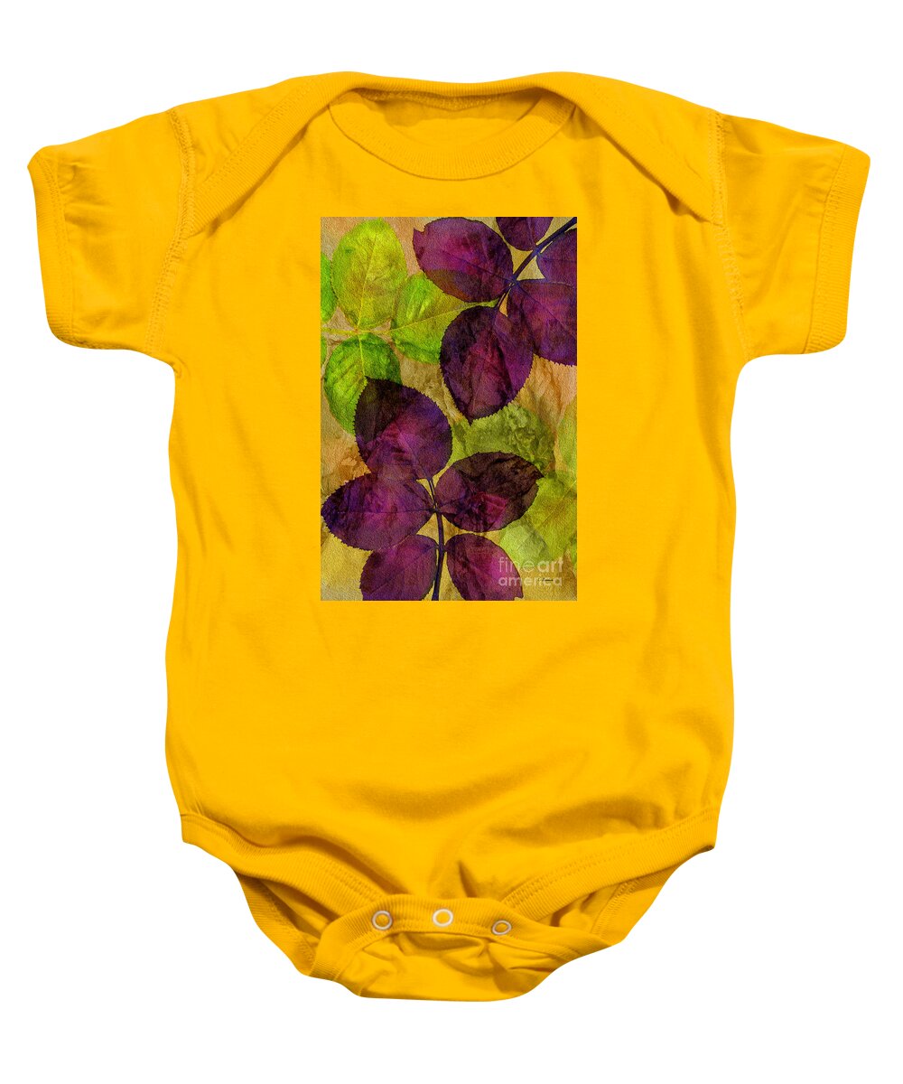 Claudia's Art Dream Baby Onesie featuring the photograph Rose Clippings Mural Wall by Claudia Ellis