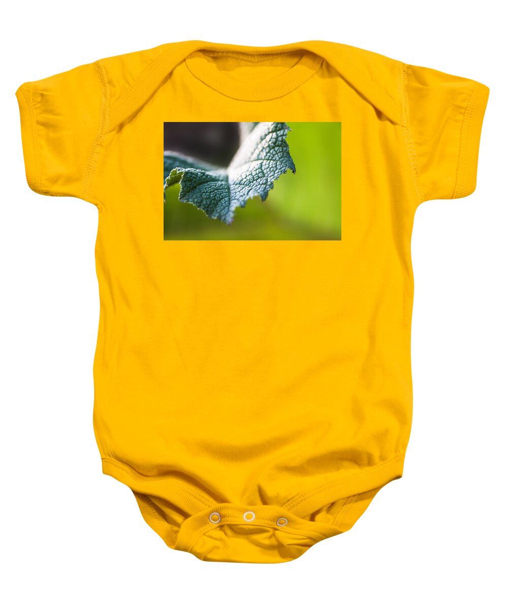 Botanical Baby Onesie featuring the photograph Slice of Leaf by John Wadleigh
