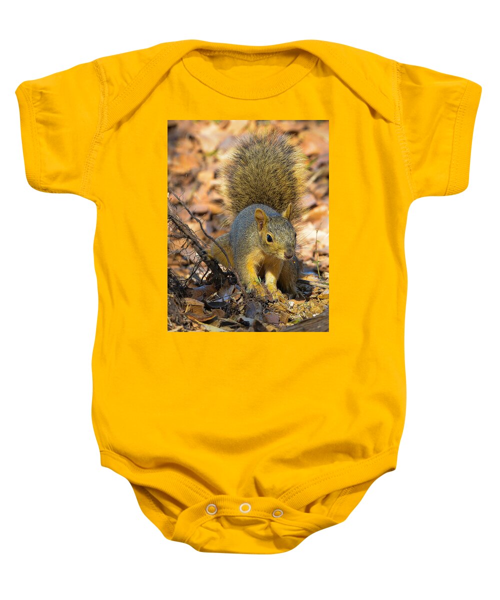 Squirrel Baby Onesie featuring the photograph Squirrel by John Johnson