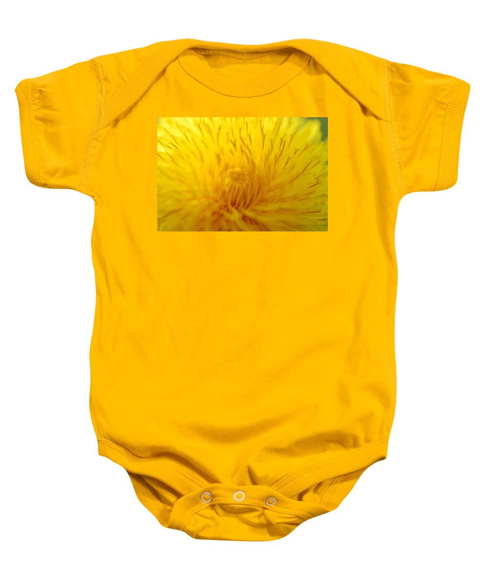 Dandelion Baby Onesie featuring the photograph The Detail IS in the Dandelion by Kathy Paynter