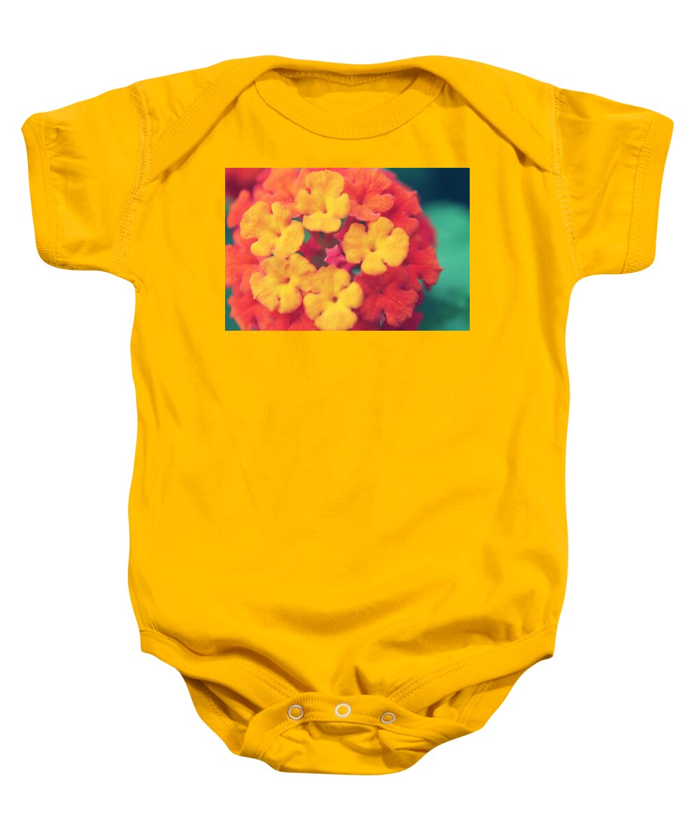 Flowers Baby Onesie featuring the photograph To Make You Happy by Laurie Search