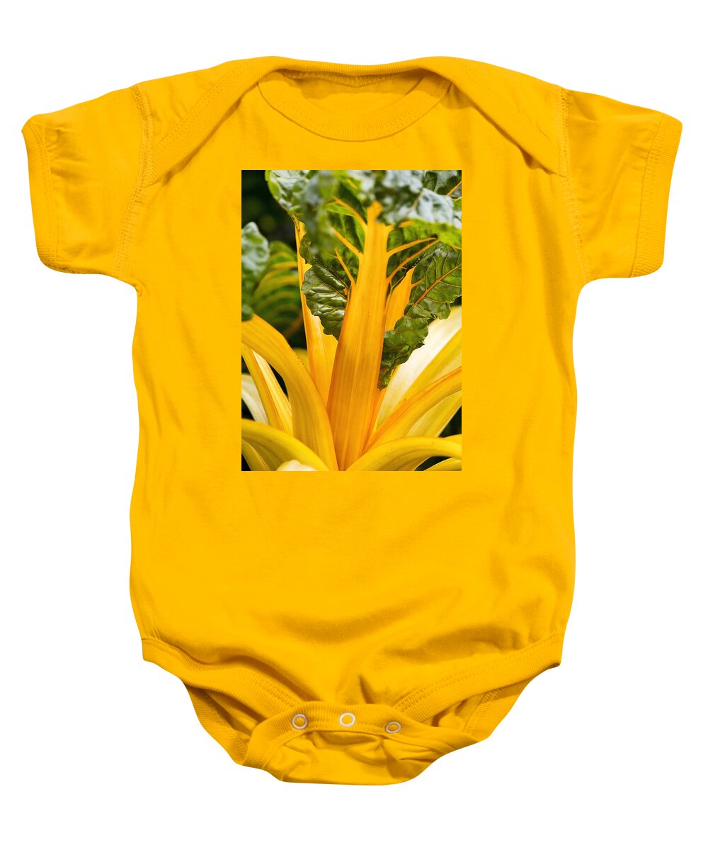 Shirley Mitchell Baby Onesie featuring the photograph Vibrant Veg -3 by Shirley Mitchell