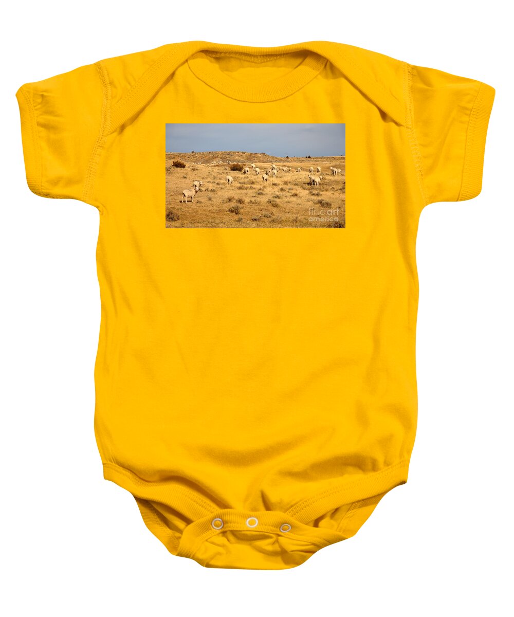 Sheep Baby Onesie featuring the photograph Wool You Sheep With Me by Anthony Wilkening