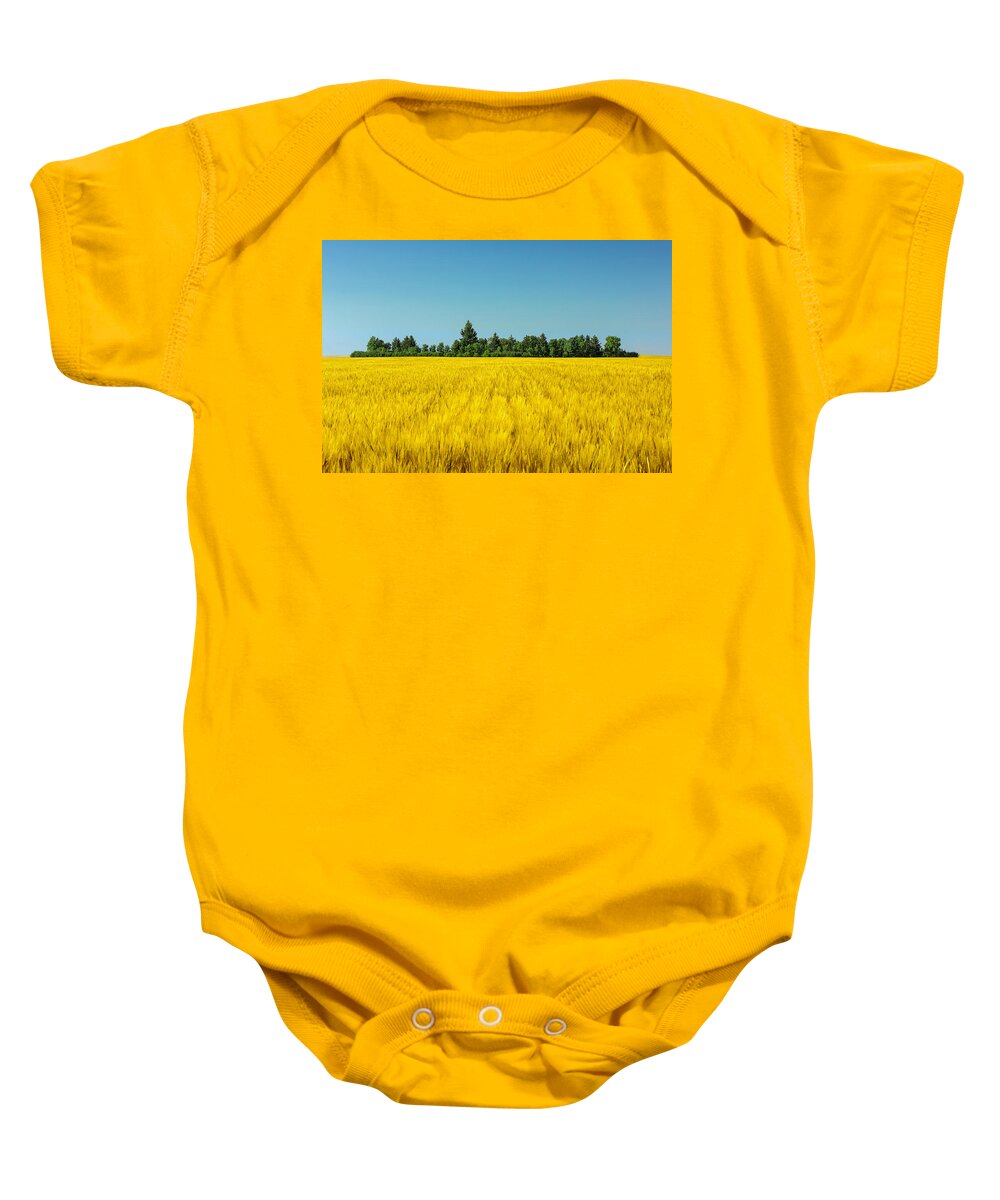 Field Baby Onesie featuring the photograph Yellow and Blue Make Green by Todd Klassy