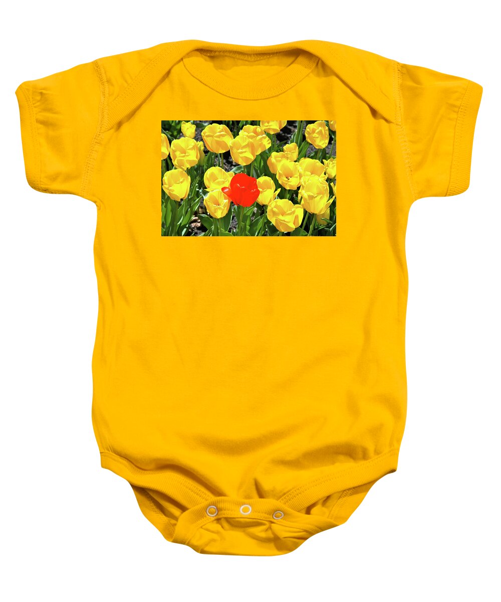 Tulips Baby Onesie featuring the photograph Yellow and One Red Tulip by Ed Riche