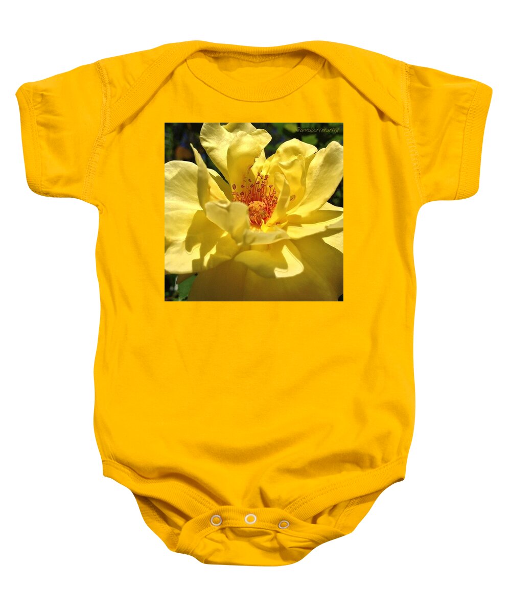 Yellow Baby Onesie featuring the photograph Yellow Monday Rose by Anna Porter