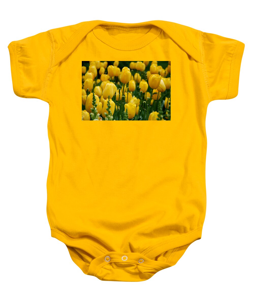 Tulip Baby Onesie featuring the photograph Yellow Tulip Sea by Jennifer Ancker