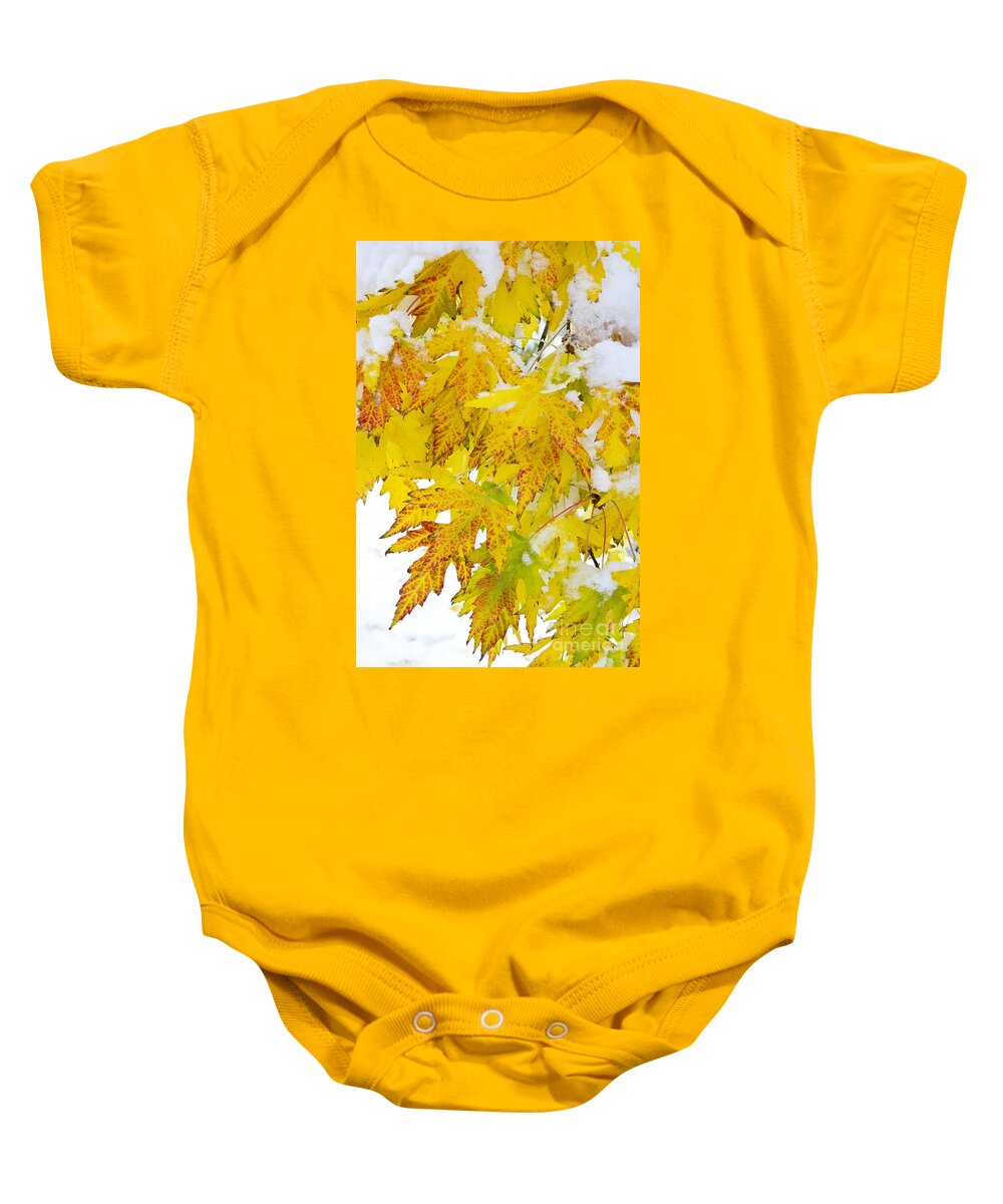 Snow Baby Onesie featuring the photograph Autumn Snow Portrait by James BO Insogna