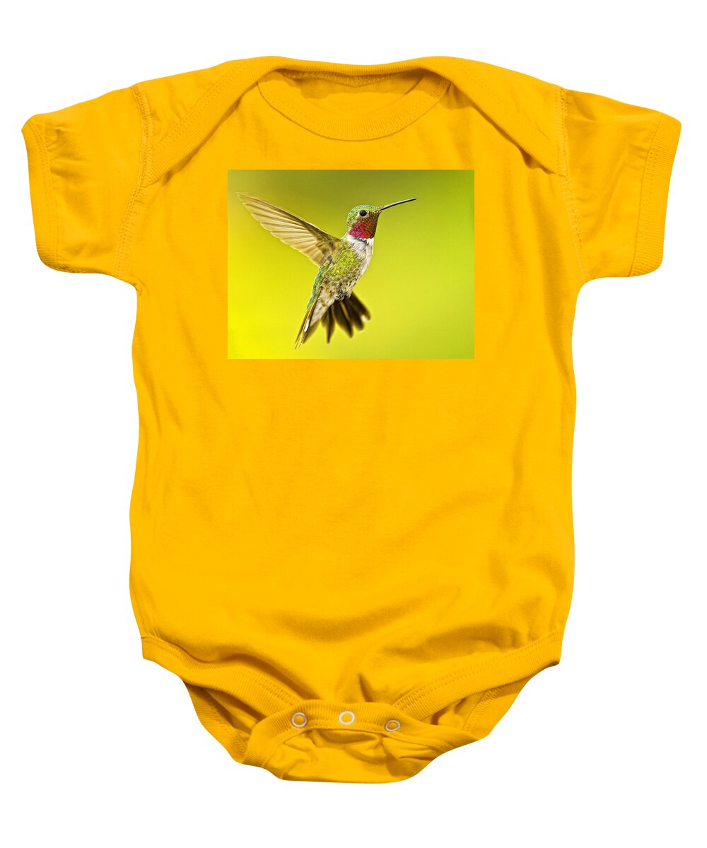 Bird Baby Onesie featuring the photograph Male Broad-tailed Hummingbird #1 by Fred J Lord
