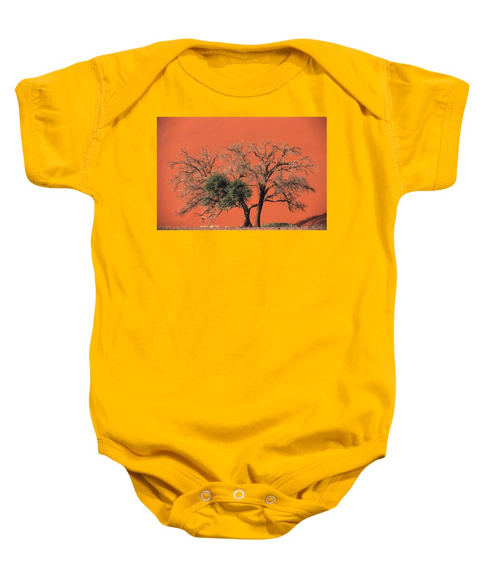 Mp Baby Onesie featuring the photograph Camelthorn Acacia Acacia Erioloba Tree by Pete Oxford