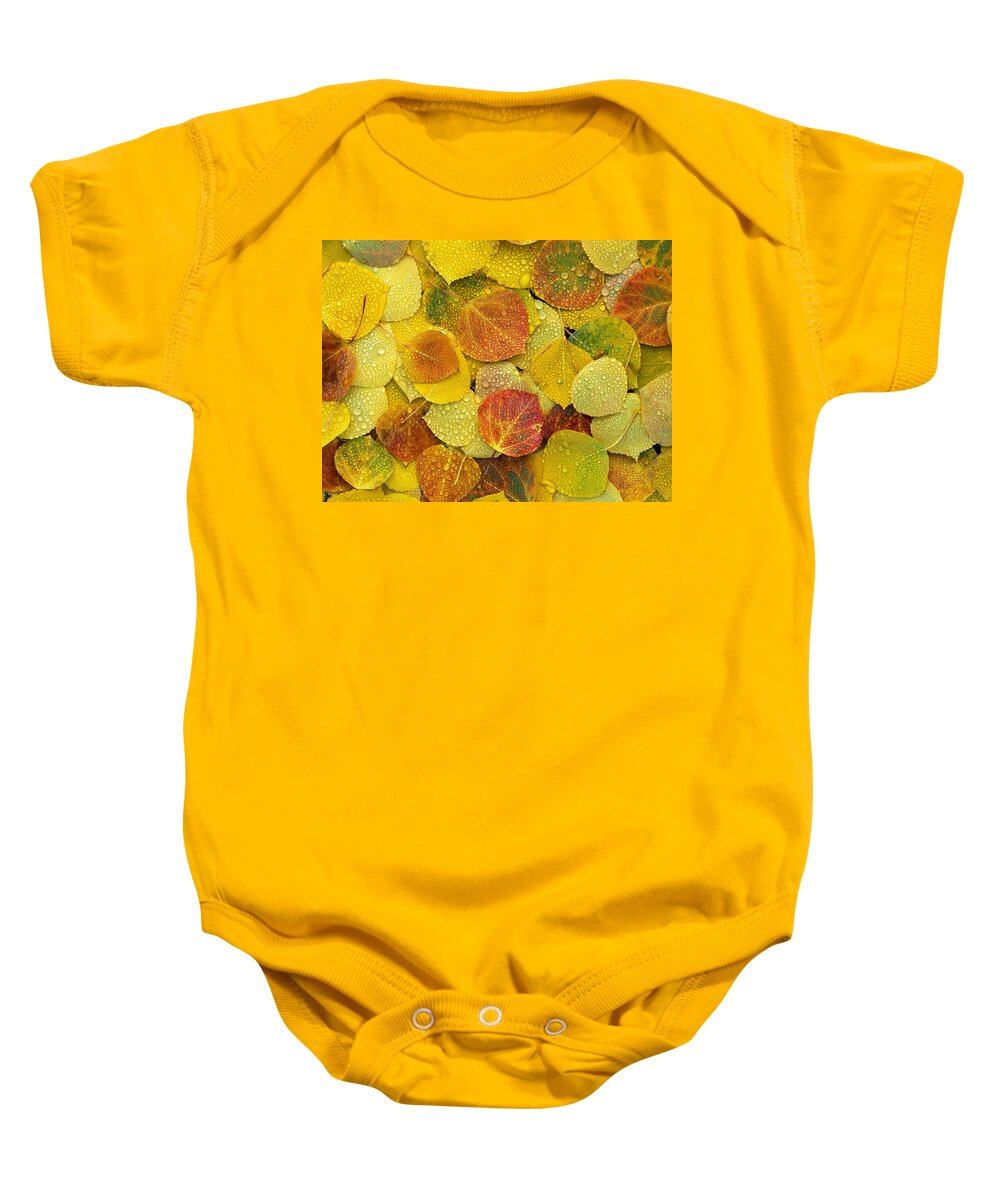 Mp Baby Onesie featuring the photograph Fall Aspen Leaves On The Ground Covered by Tim Fitzharris