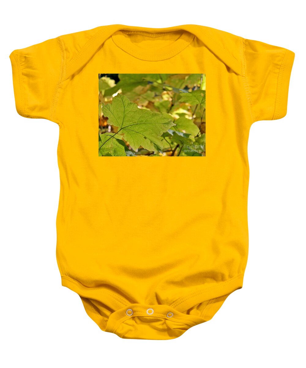 Leaves Baby Onesie featuring the photograph Green Leaves by Leone Lund