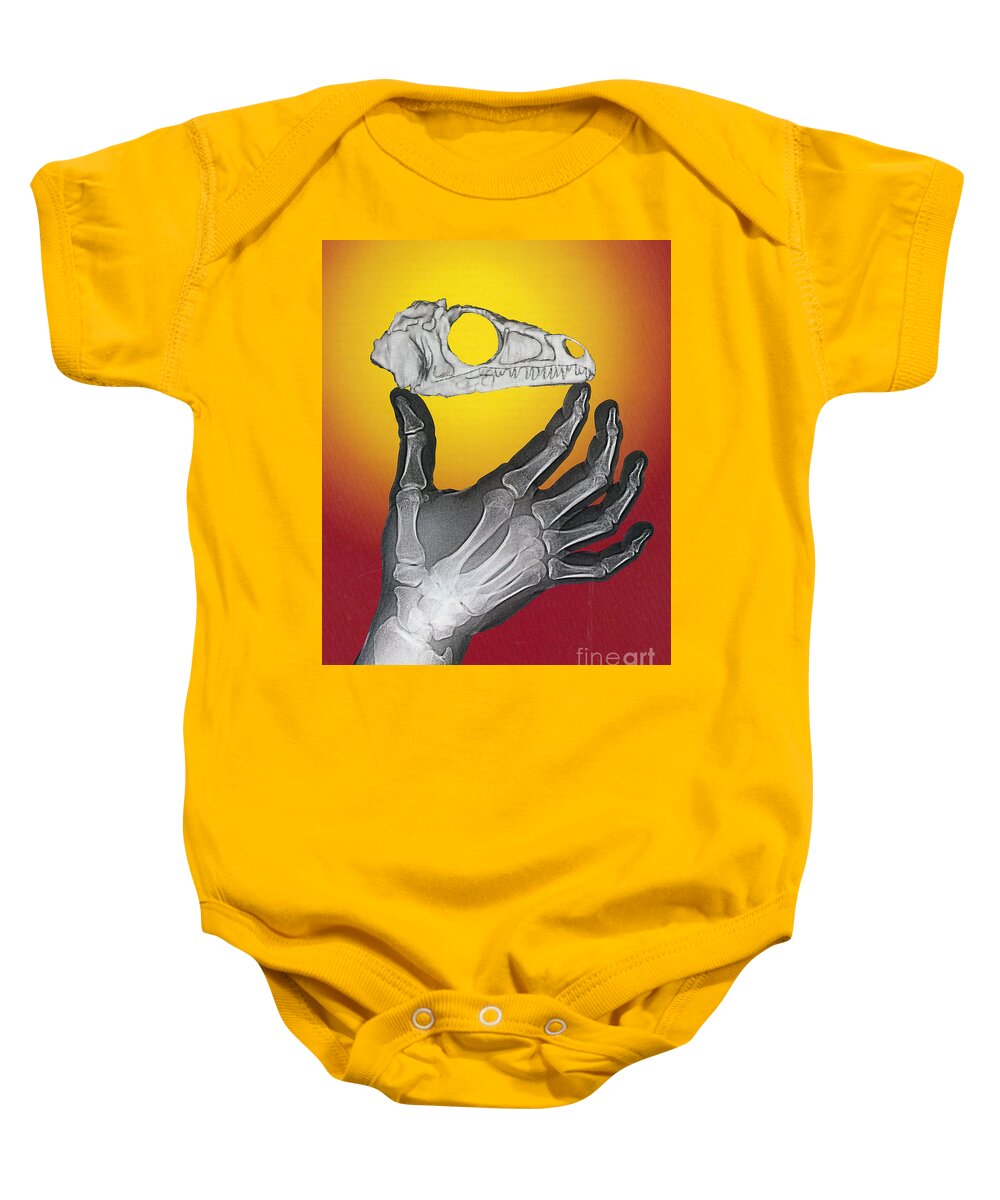 Eoraptor Baby Onesie featuring the photograph Hand And Eoraptor by Science Source