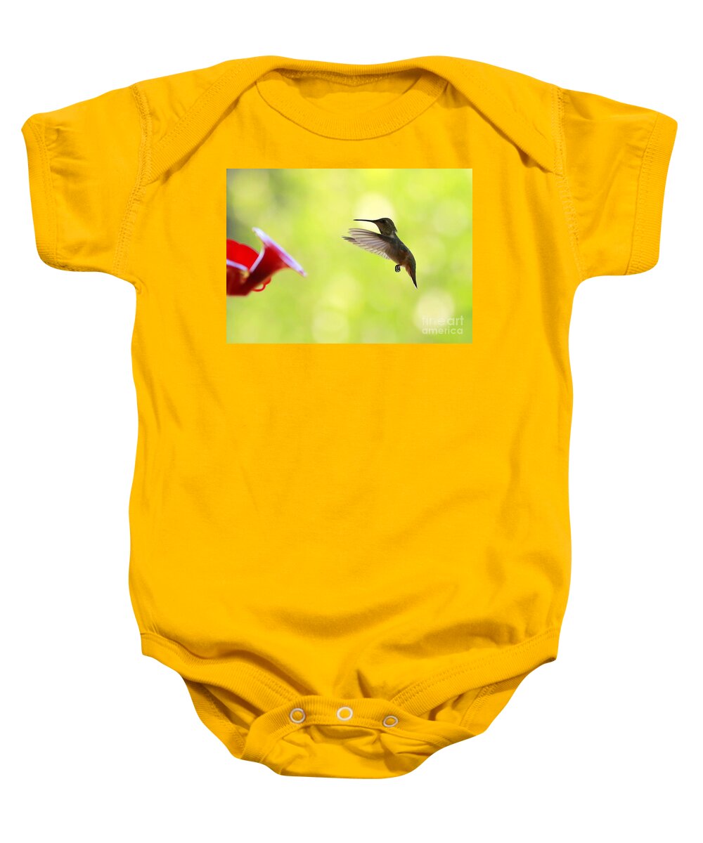 Hummingbird Baby Onesie featuring the photograph Hungry Hummer by Carol Groenen