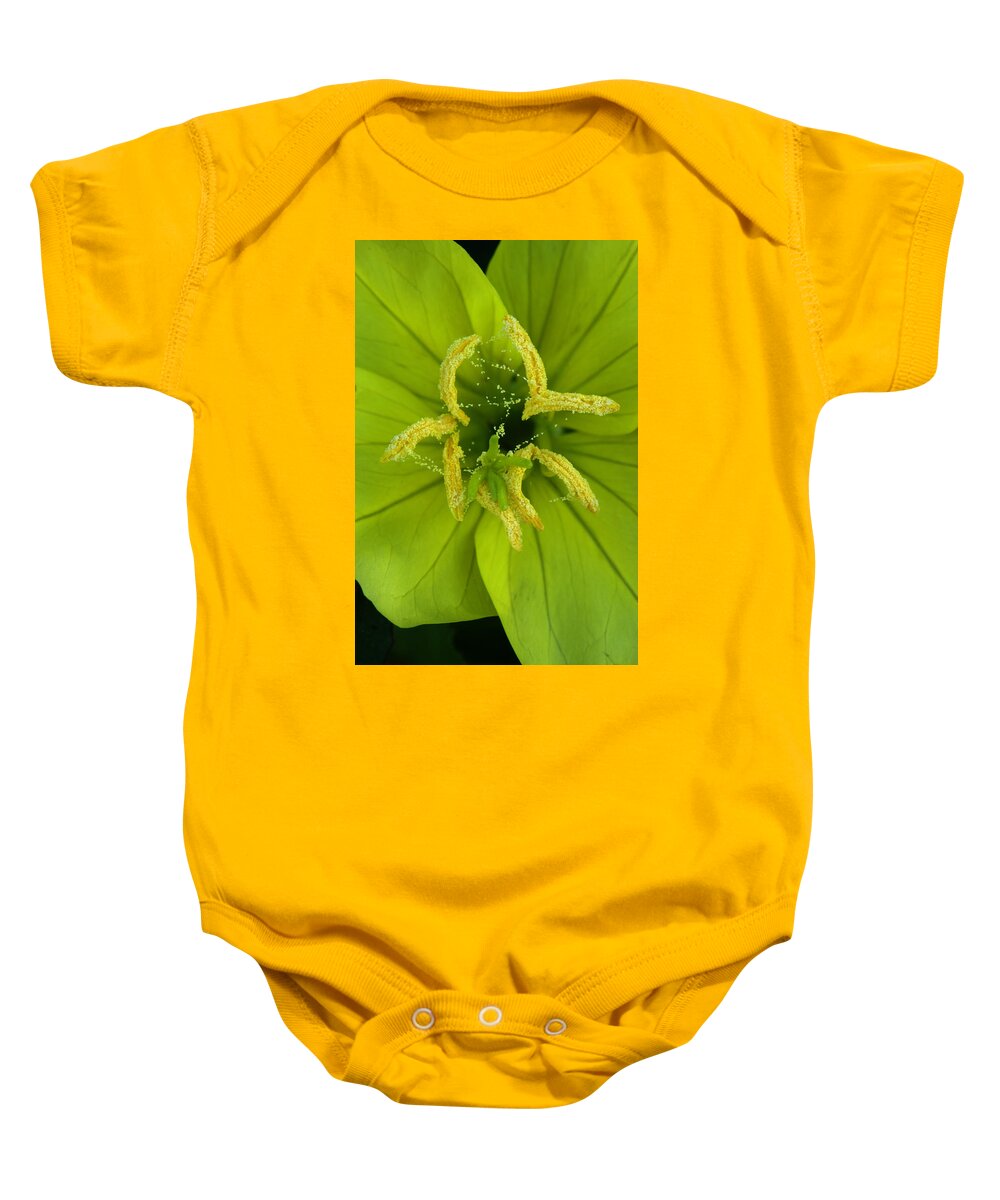 Oenothera Triloba Baby Onesie featuring the photograph Three Lobed Evening Primrose by Daniel Reed
