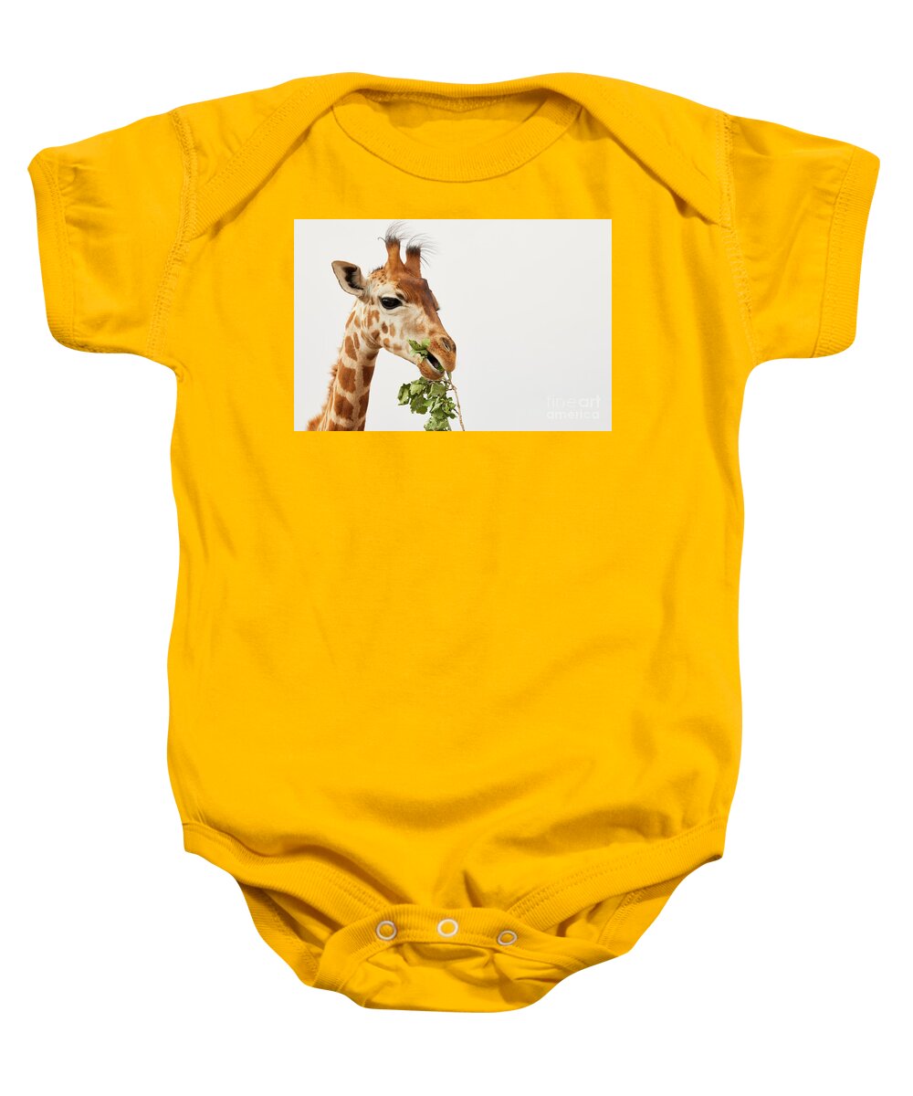 Africa Baby Onesie featuring the photograph Portrait of a Rothschild Giraffe #2 by Nick Biemans