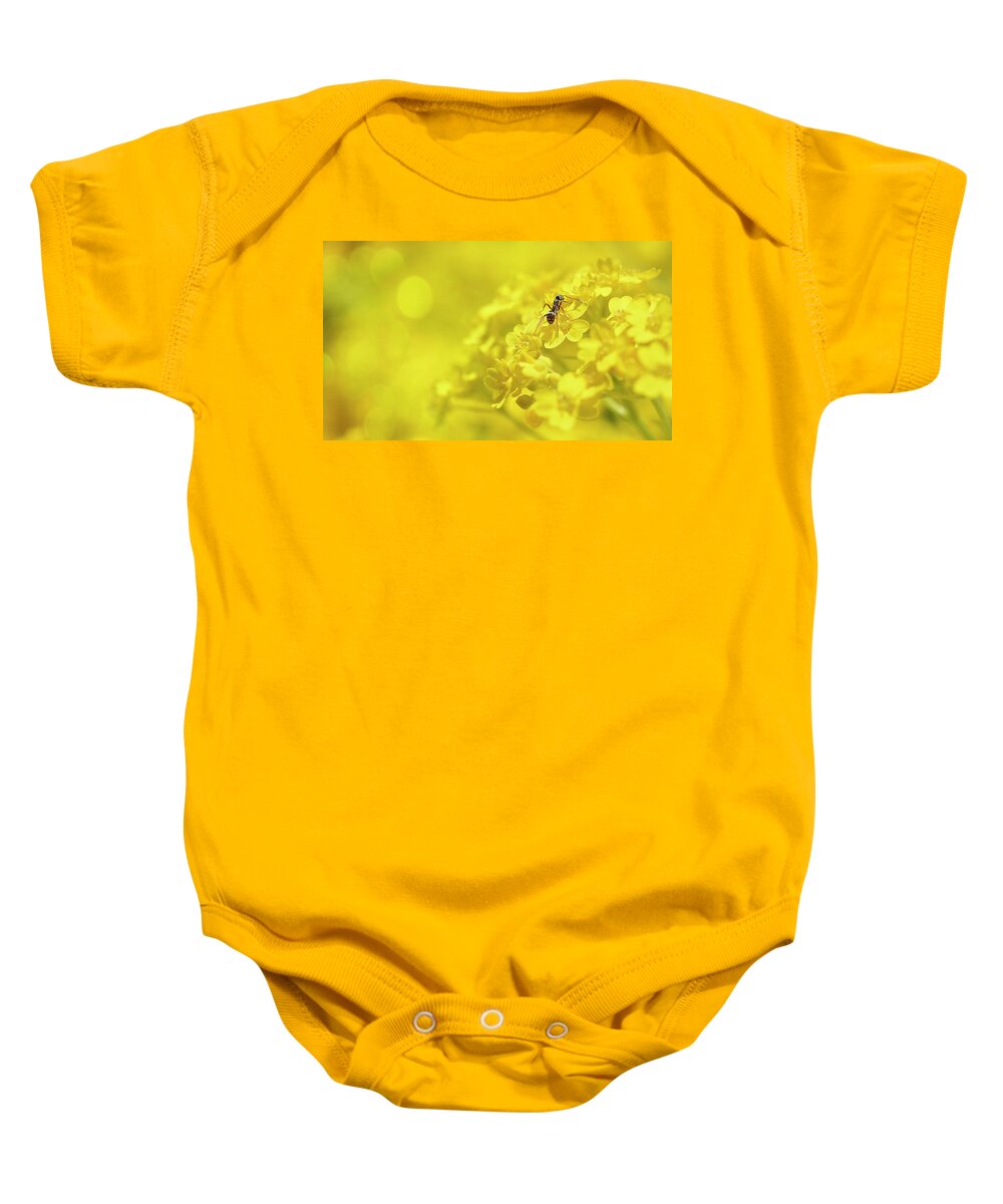Sunny Baby Onesie featuring the photograph Set The Controls For The Heart Of The Sun #1 by John Poon