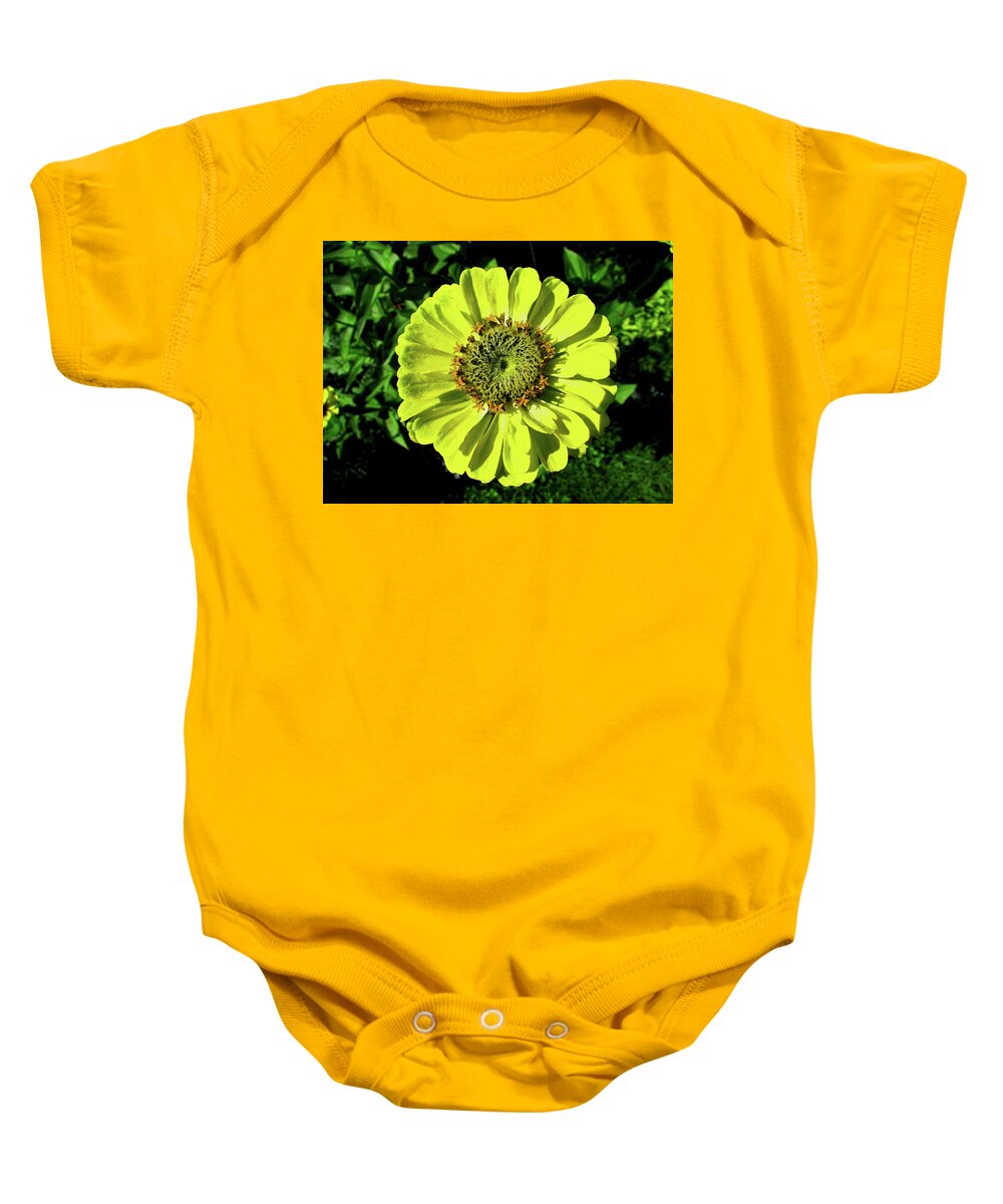 Flower Baby Onesie featuring the photograph Dahlia Flower #13 by Cesar Vieira