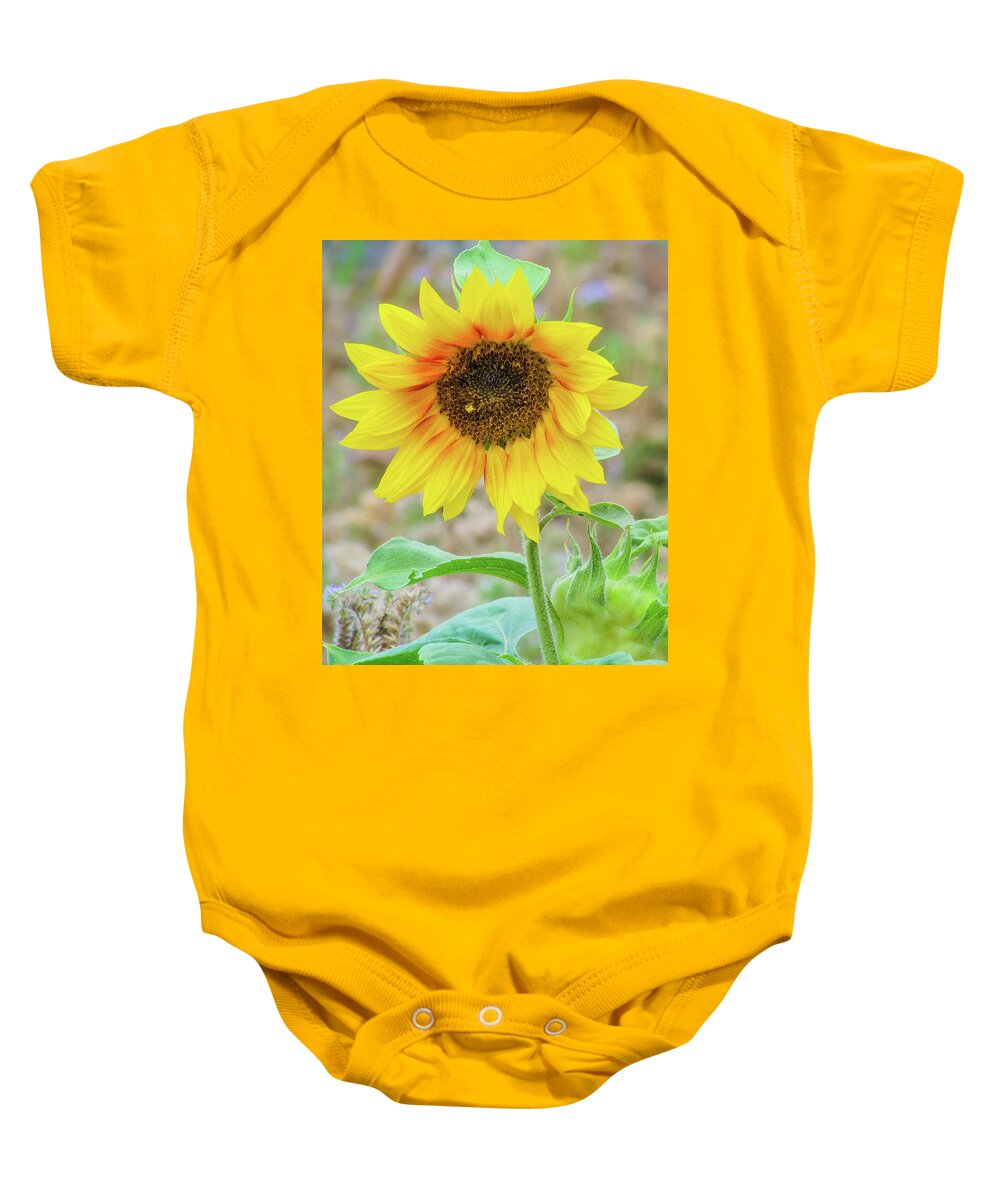 Suunflower Baby Onesie featuring the photograph Sunflower #2 by Cesar Vieira