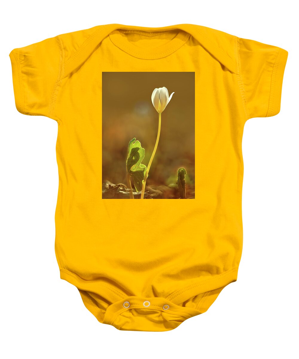 Sanguinaria Canadensis Baby Onesie featuring the photograph Bloodroot by Robert Charity