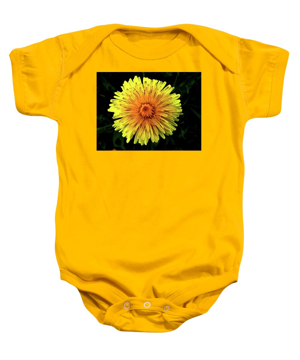 Yellow Flower Baby Onesie featuring the photograph Yellow Flower #3 by Cesar Vieira