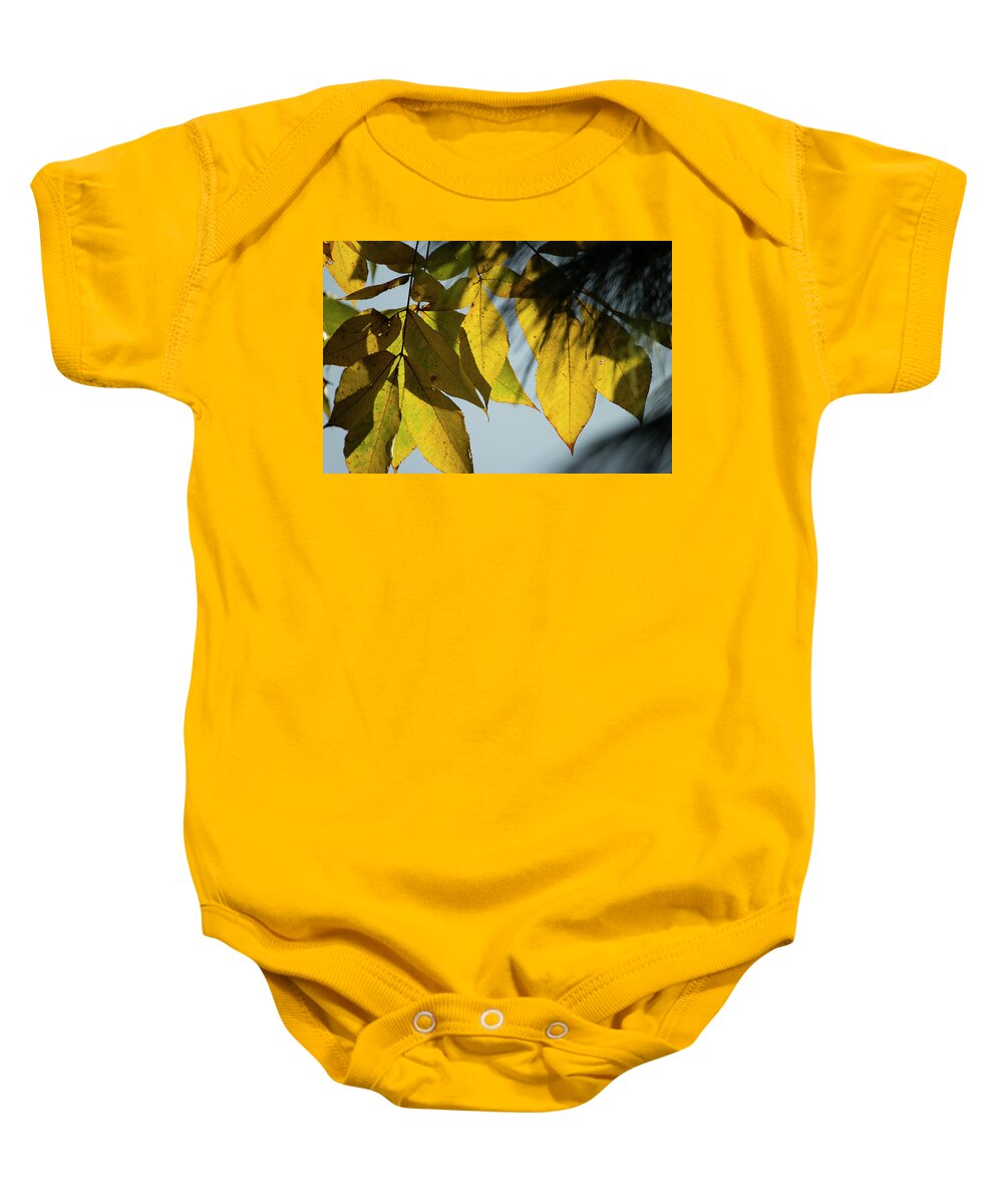 Fall Leaves Baby Onesie featuring the photograph A Season Of Change by Mike Eingle