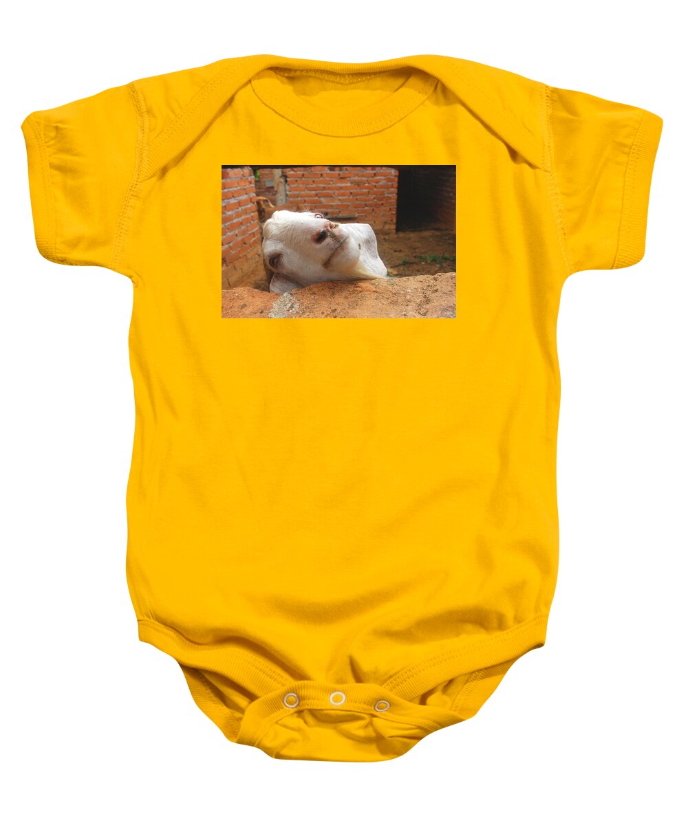 Smiling Goat Baby Onesie featuring the digital art A Visit With A Smiling Goat by Pamela Smale Williams