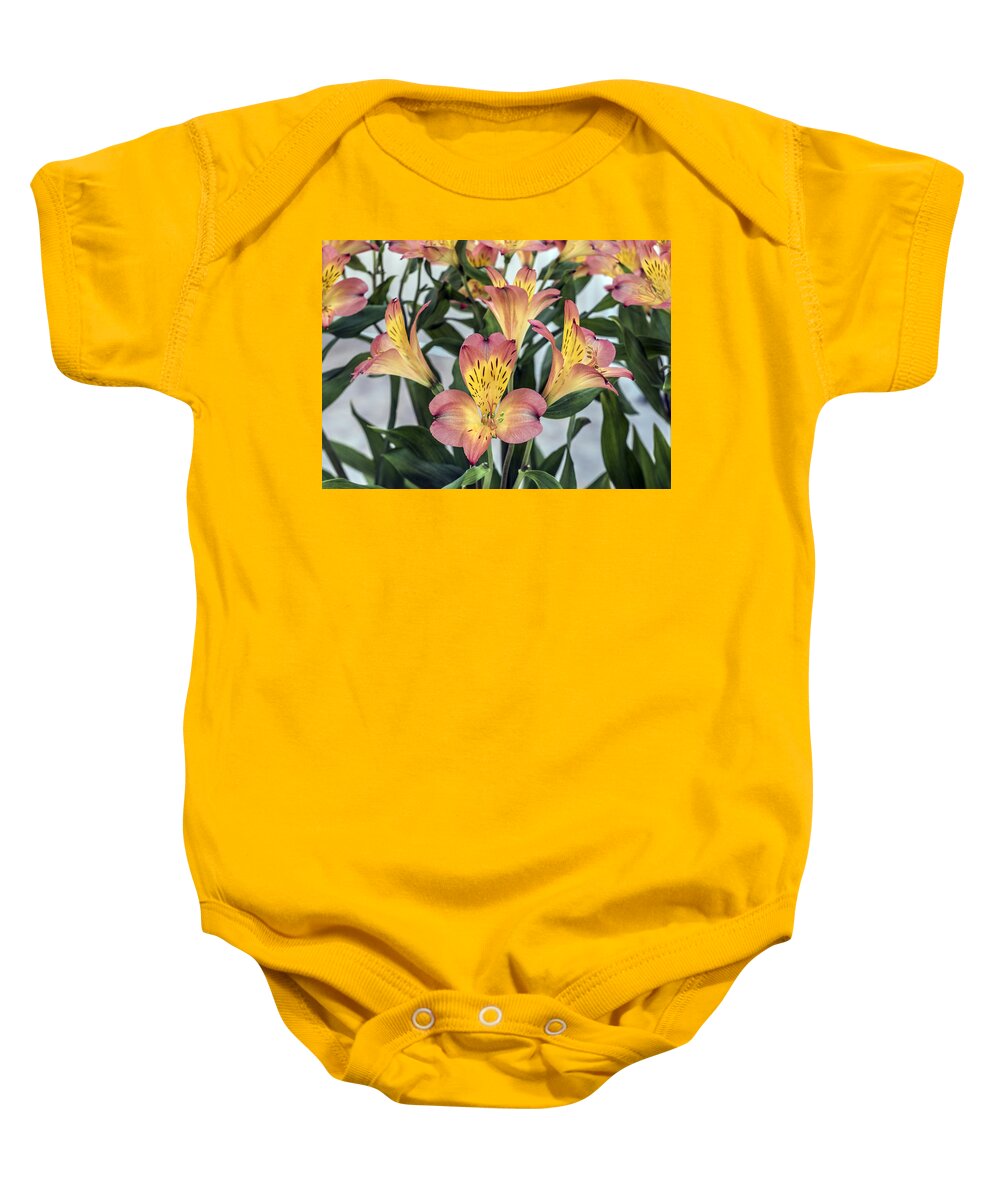 Flower Baby Onesie featuring the photograph Alstroemeria Blossoms by William Bitman