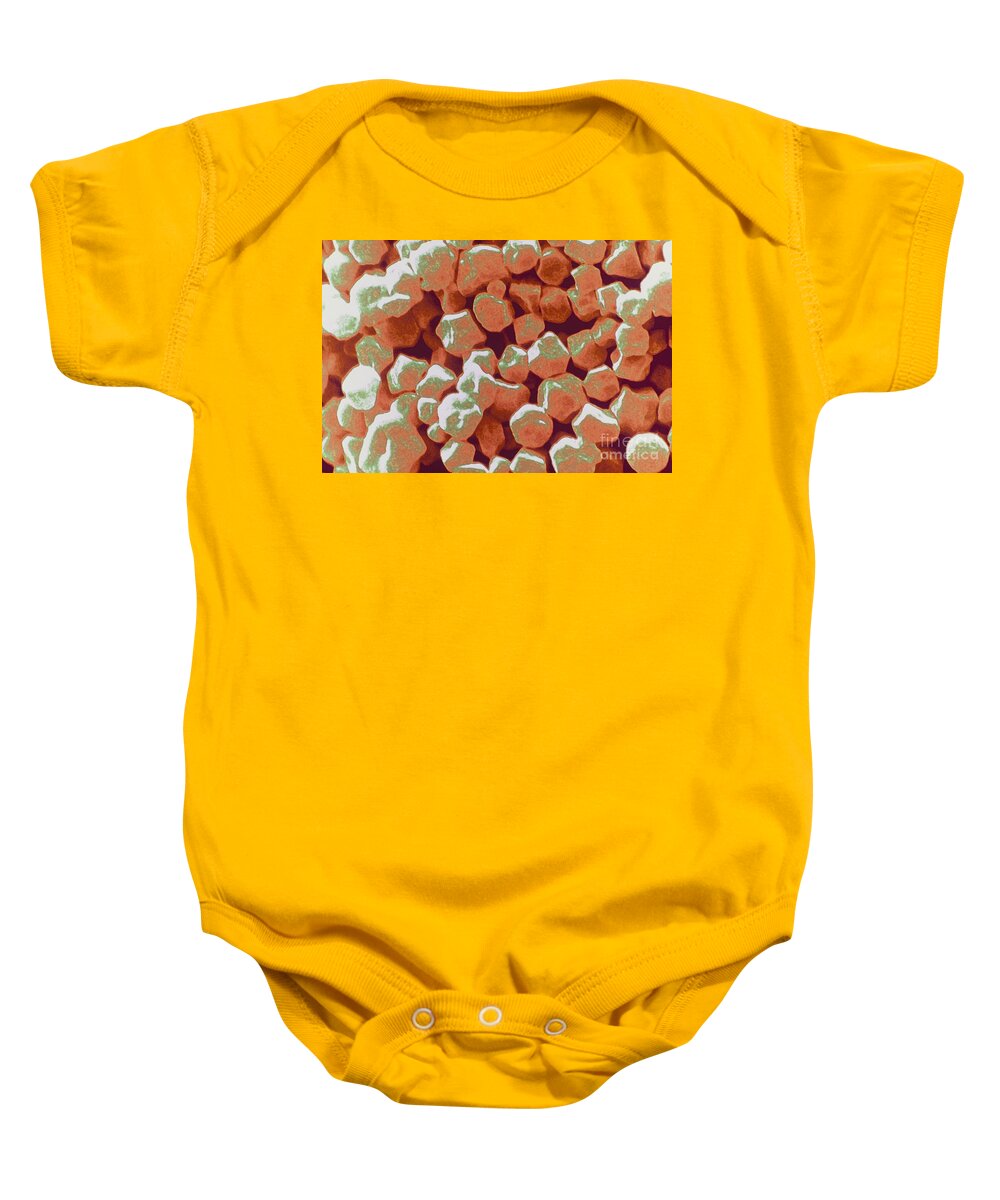 Grain Baby Onesie featuring the photograph Amaranth Starch Granules Sem by Scimat