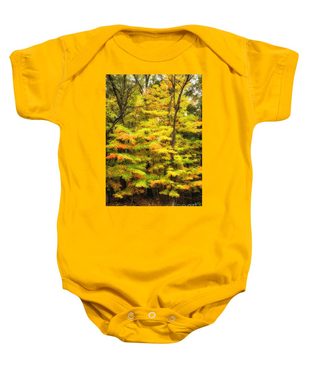 Autumn Baby Onesie featuring the photograph Autumn Colors 4 by Timothy Hacker