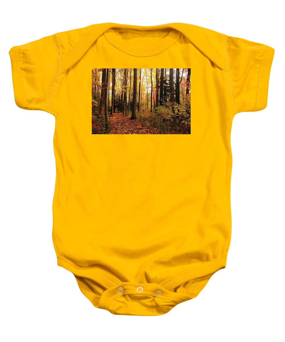 Autumn Baby Onesie featuring the photograph Autumn Woods by Debbie Oppermann